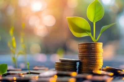 Pflanze wächst aus Münzstapel