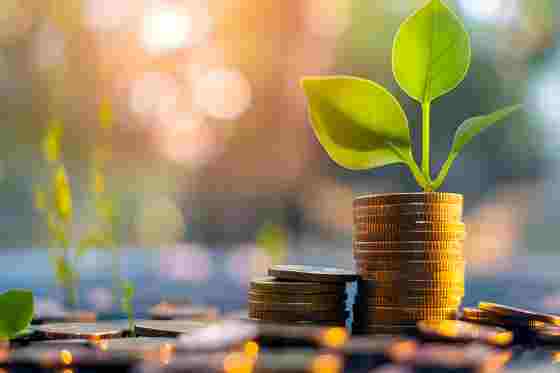 Pflanze wächst aus Münzstapel