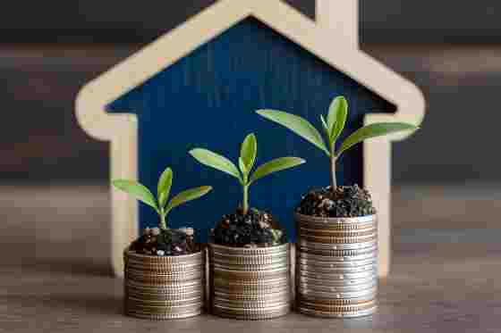 Holzhäuschen mit Münztürmen und Pflanzensprösslingen davor